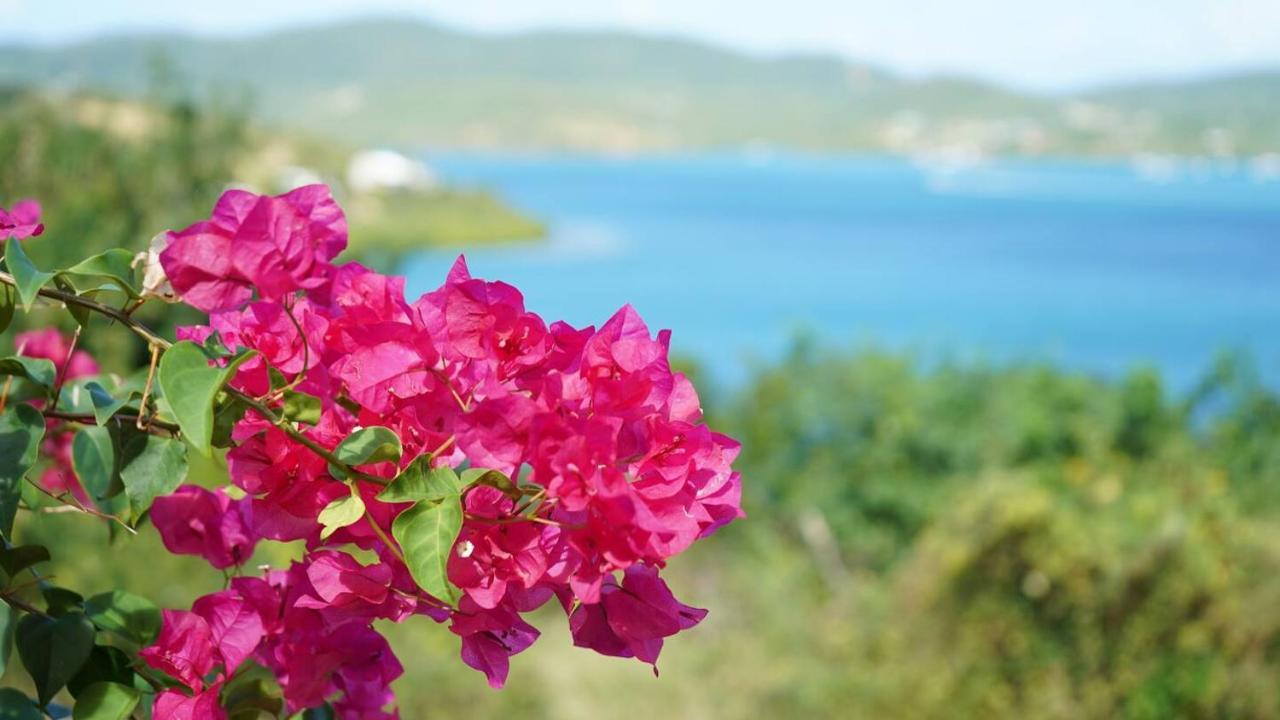 Coqui Beach Home, Culebra Isla Culebra Екстериор снимка
