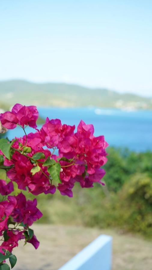 Coqui Beach Home, Culebra Isla Culebra Екстериор снимка