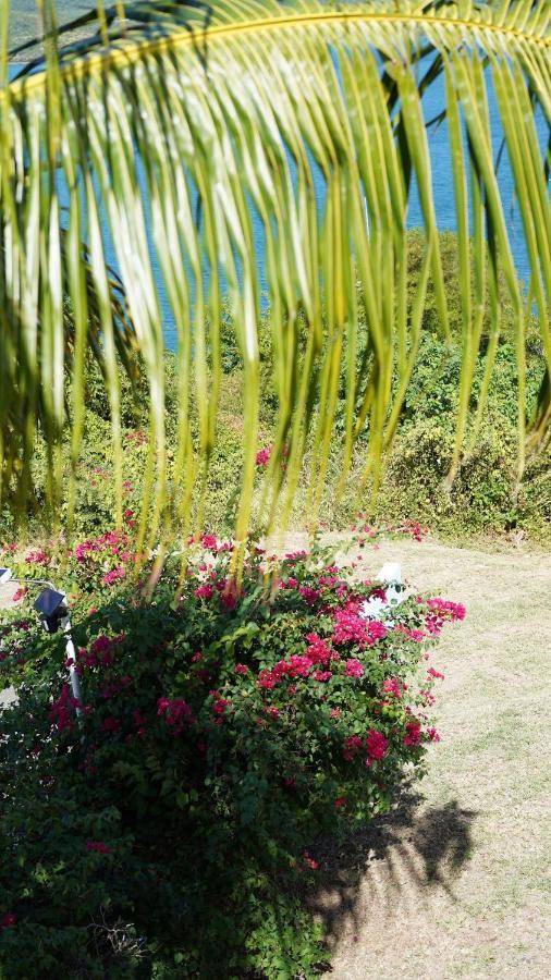 Coqui Beach Home, Culebra Isla Culebra Екстериор снимка