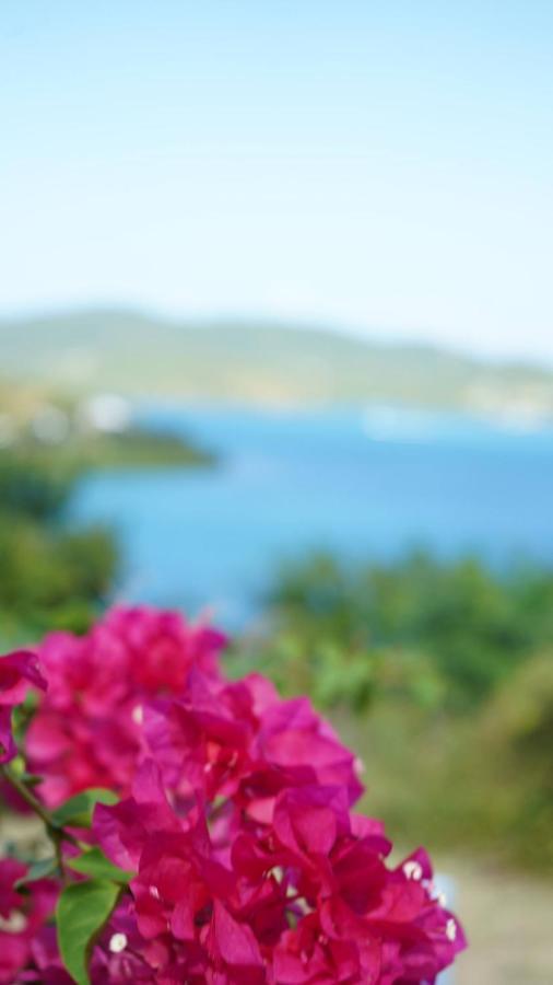 Coqui Beach Home, Culebra Isla Culebra Екстериор снимка