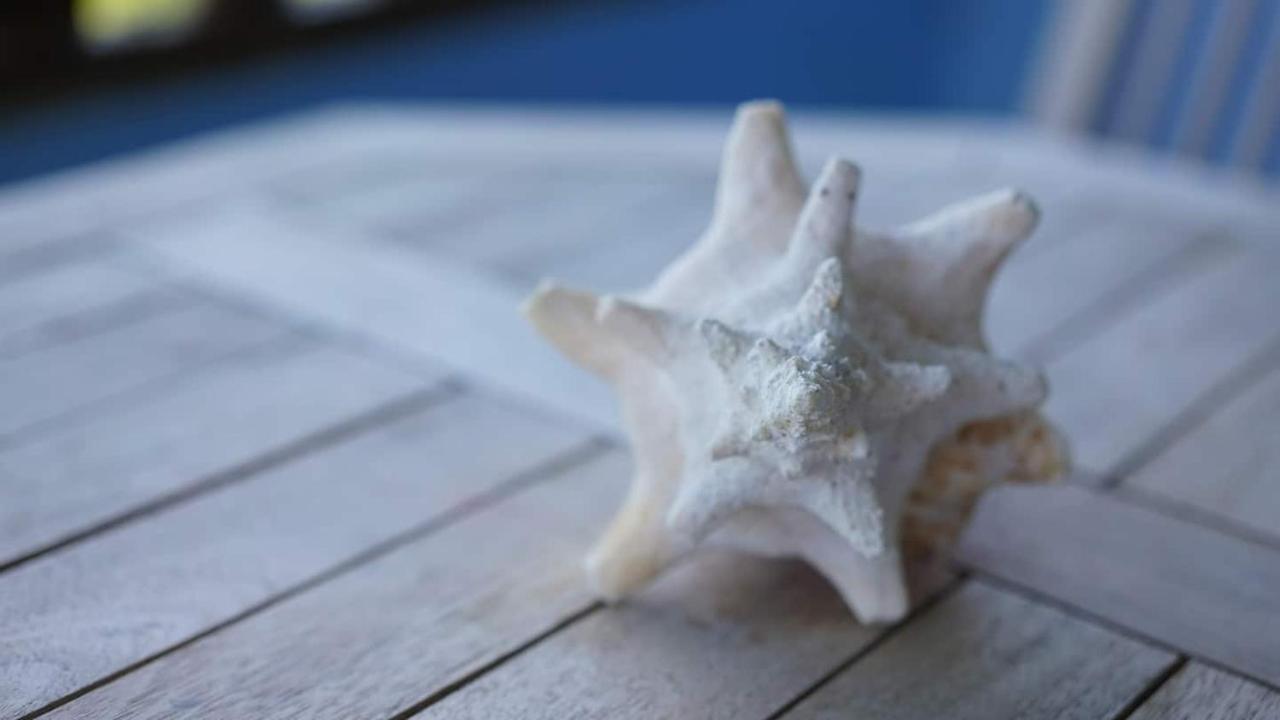 Coqui Beach Home, Culebra Isla Culebra Екстериор снимка